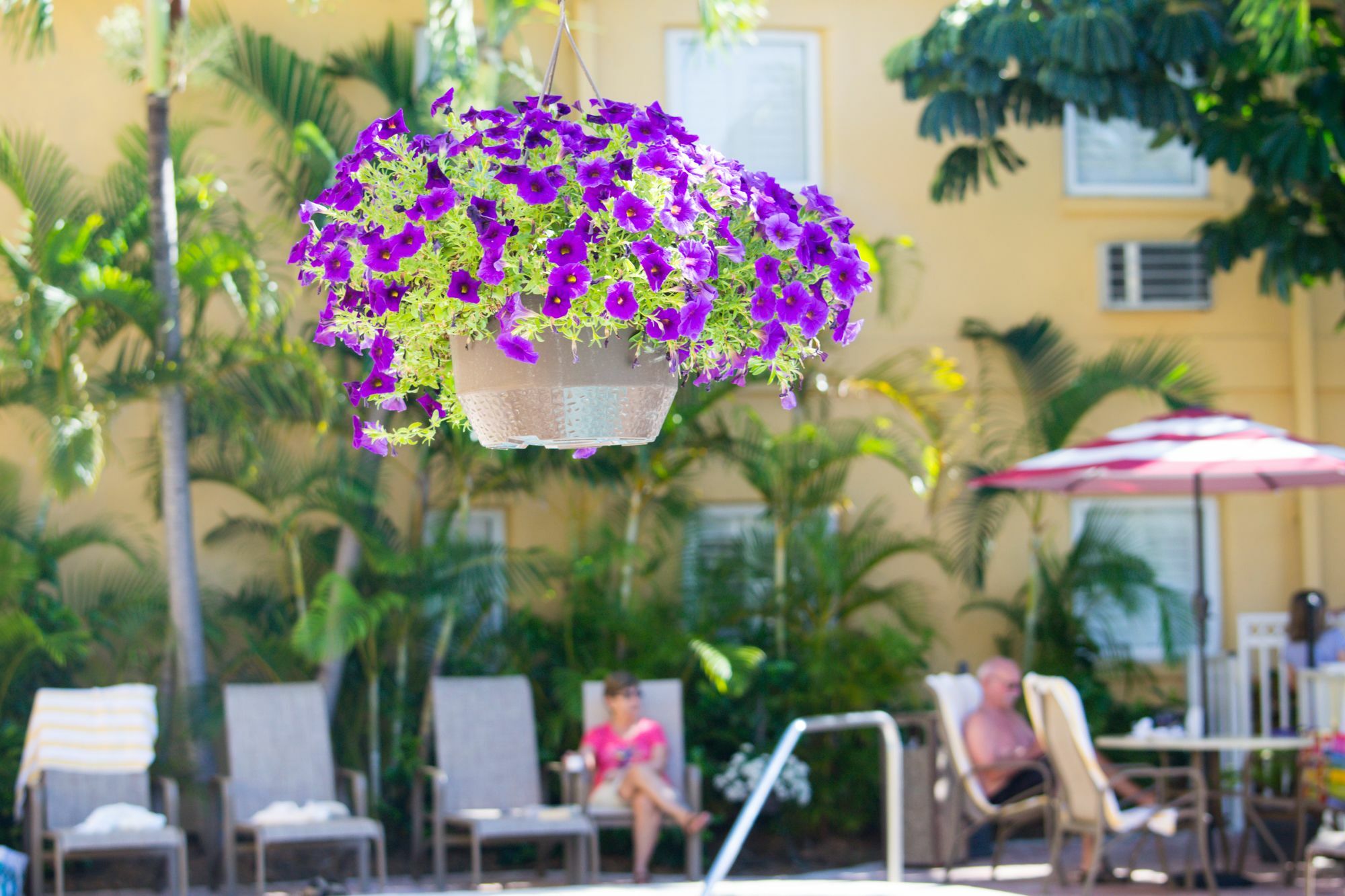 Inn At The Beach-Venice Florida Exterior foto